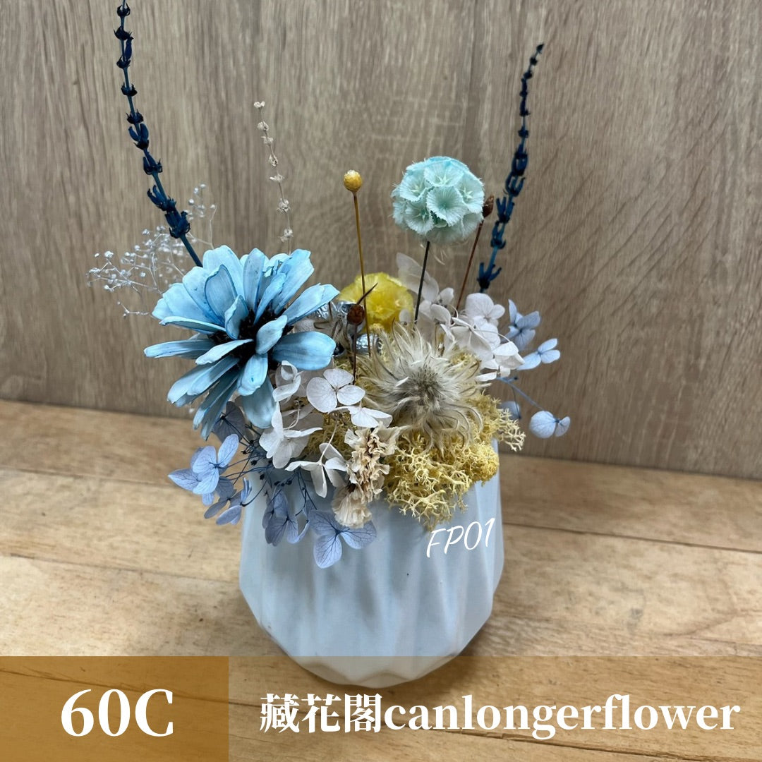 Gift-FP01 乾燥陶瓷小盆花 (含XS梯形透明提袋) 白色 粉色 綠色 藍色 盆花 開幕 送禮 慶賀 擺飾 裝飾品