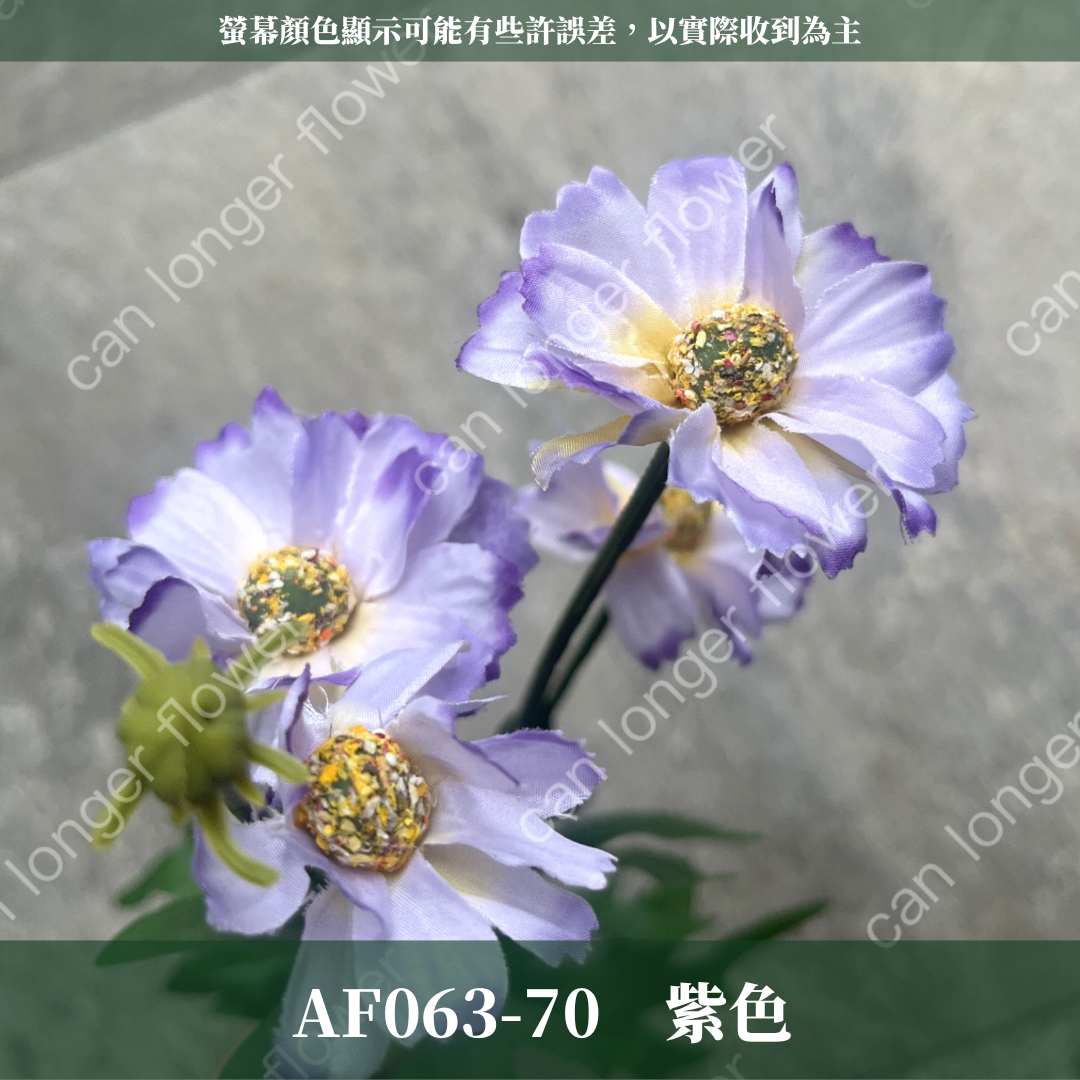 AF063 仿真英式小雛菊(4頭)