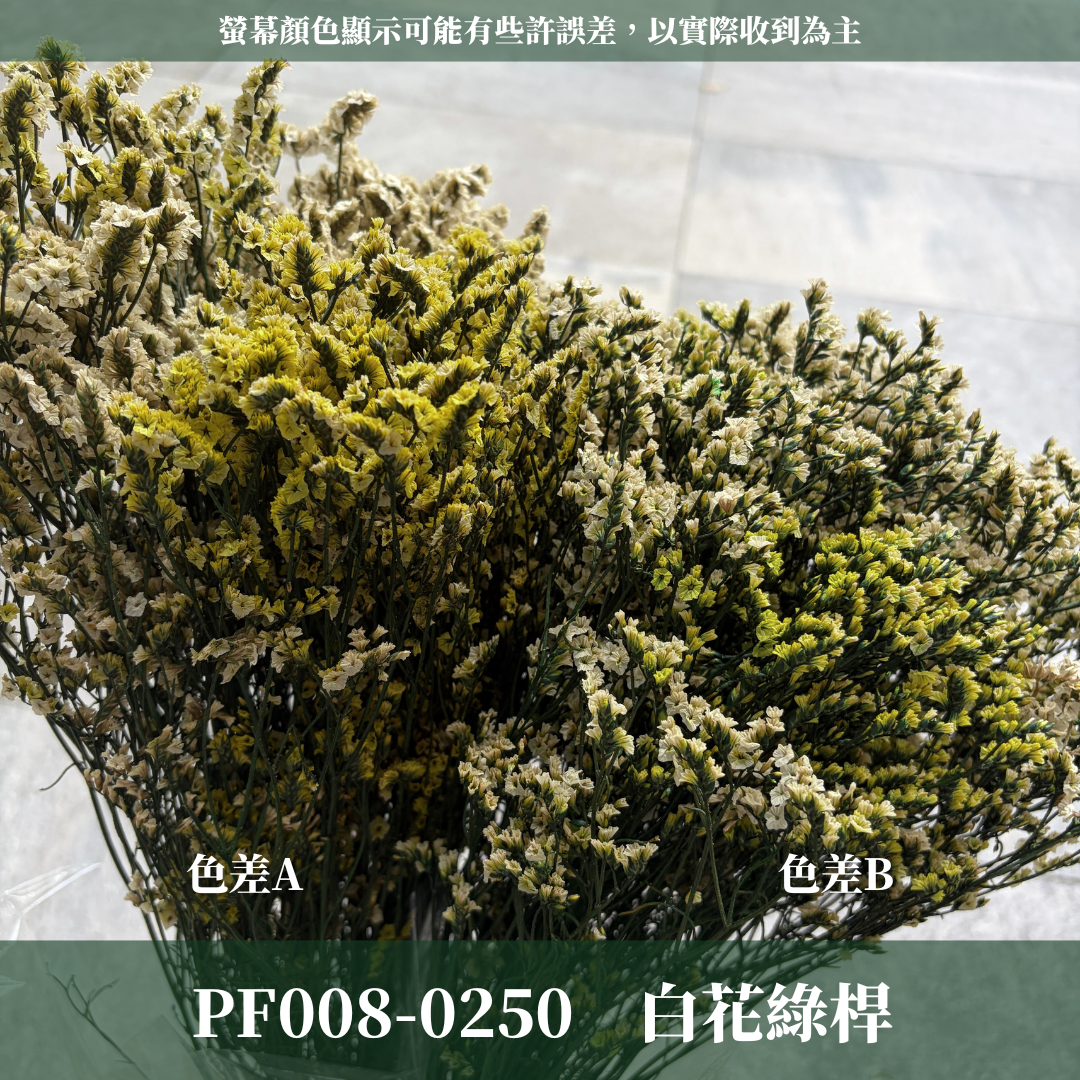 ✿ 台灣現貨 ✿ PF008-S 水晶花 小份量