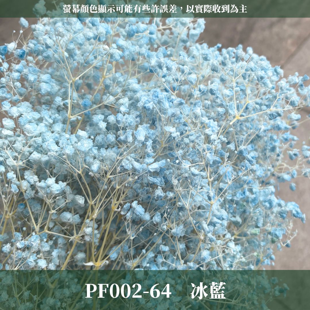 PF002-S 小份量夢幻星|A級漂色滿天星 特級漂白滿天星 夢幻滿天星 永生花 乾燥花 拍照道具 店面佈置 DIY手作