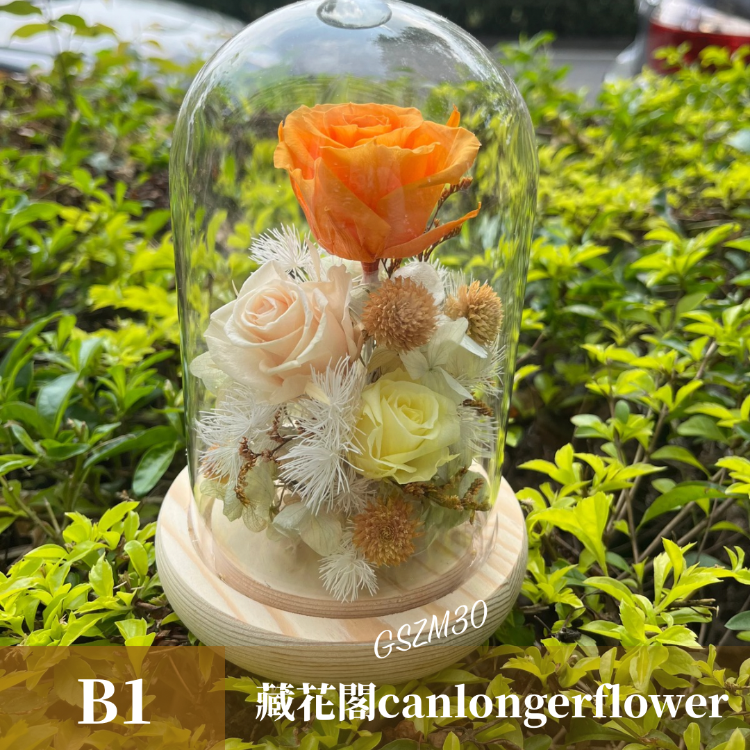 GSZM30 橘色系永生罩盅M