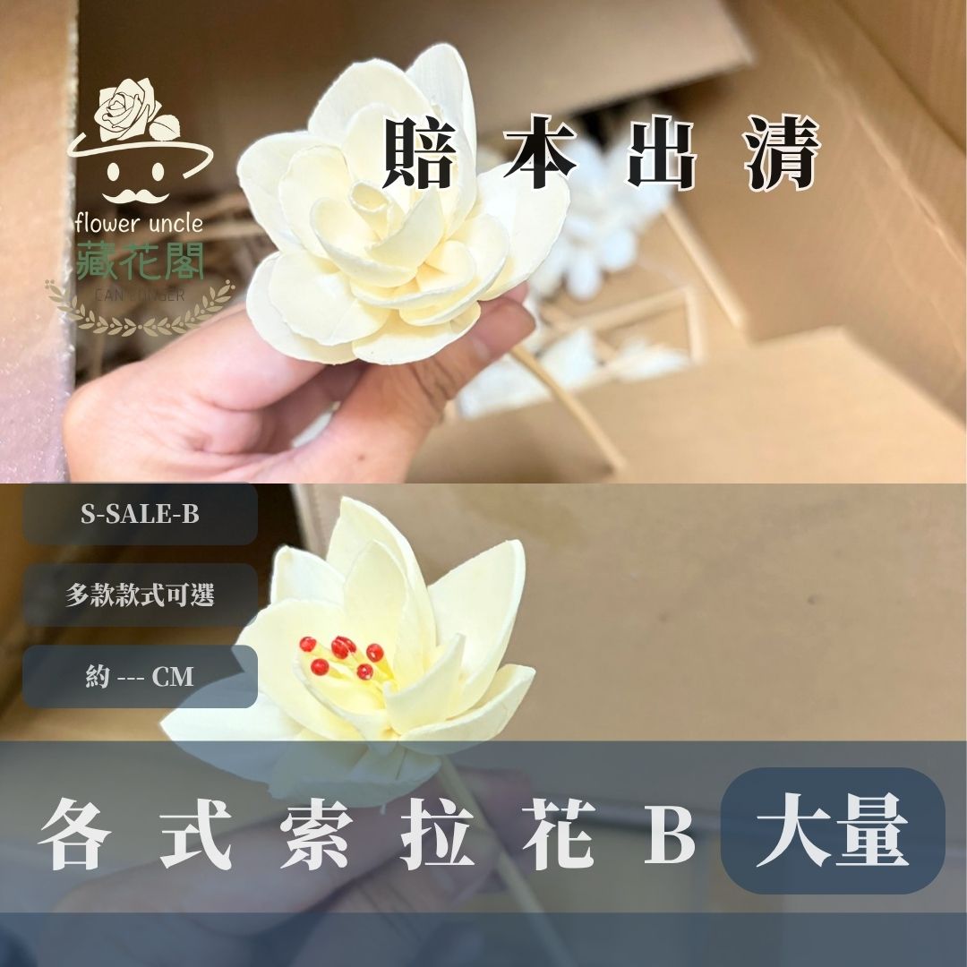 S-SALE-B 關店賠本出清|大量的索拉花花頭(帶桿子)|史上最便宜沒有之一要錢不要貨到八月底