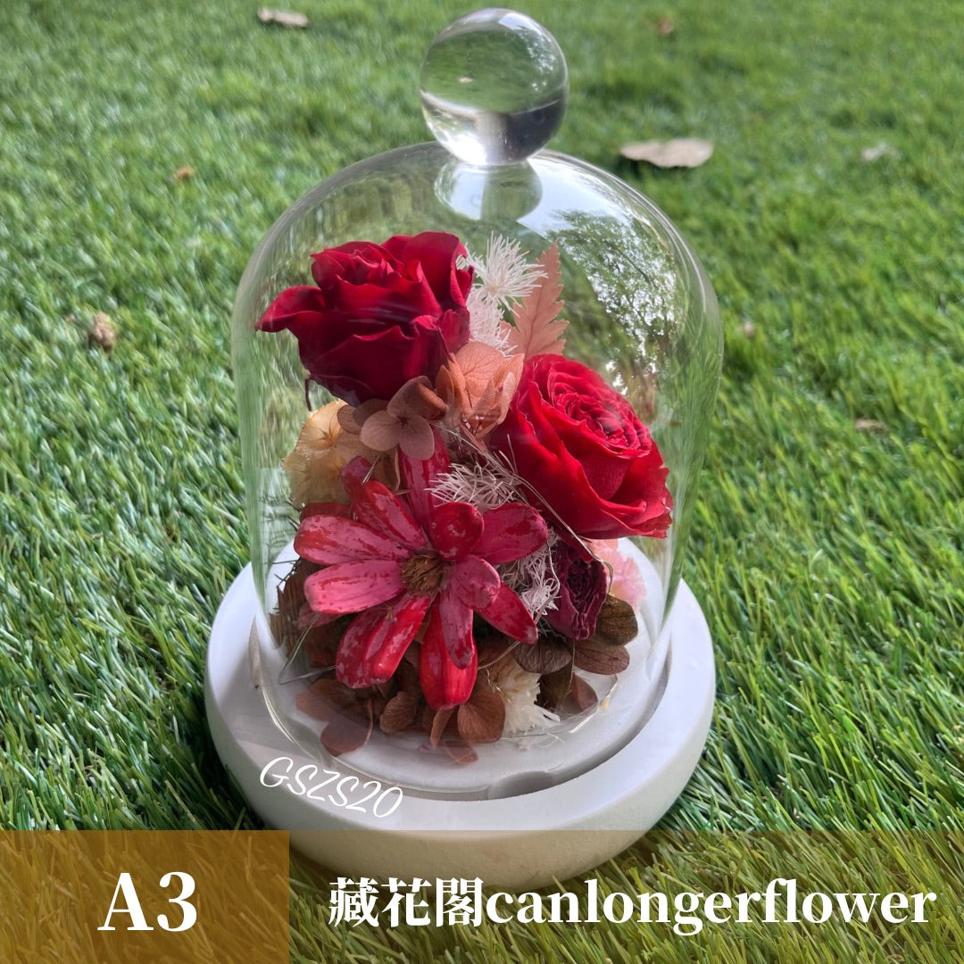 GSZS20 紅色系永生罩盅S