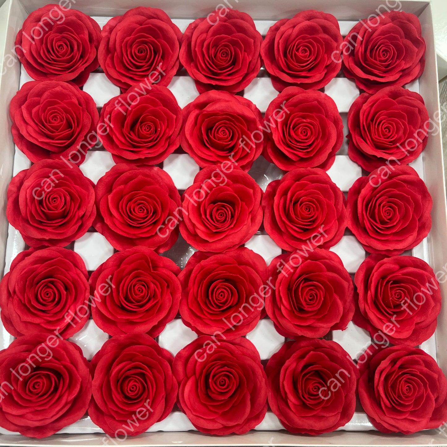AS001 甦醒玫瑰 25朵裝 香皂花
