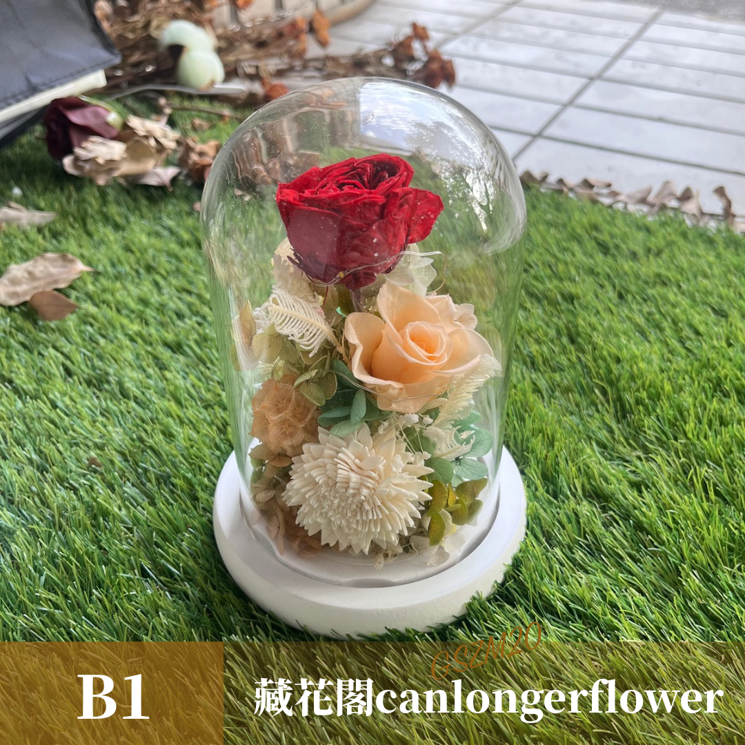 GSZM20 紅色系永生罩盅M