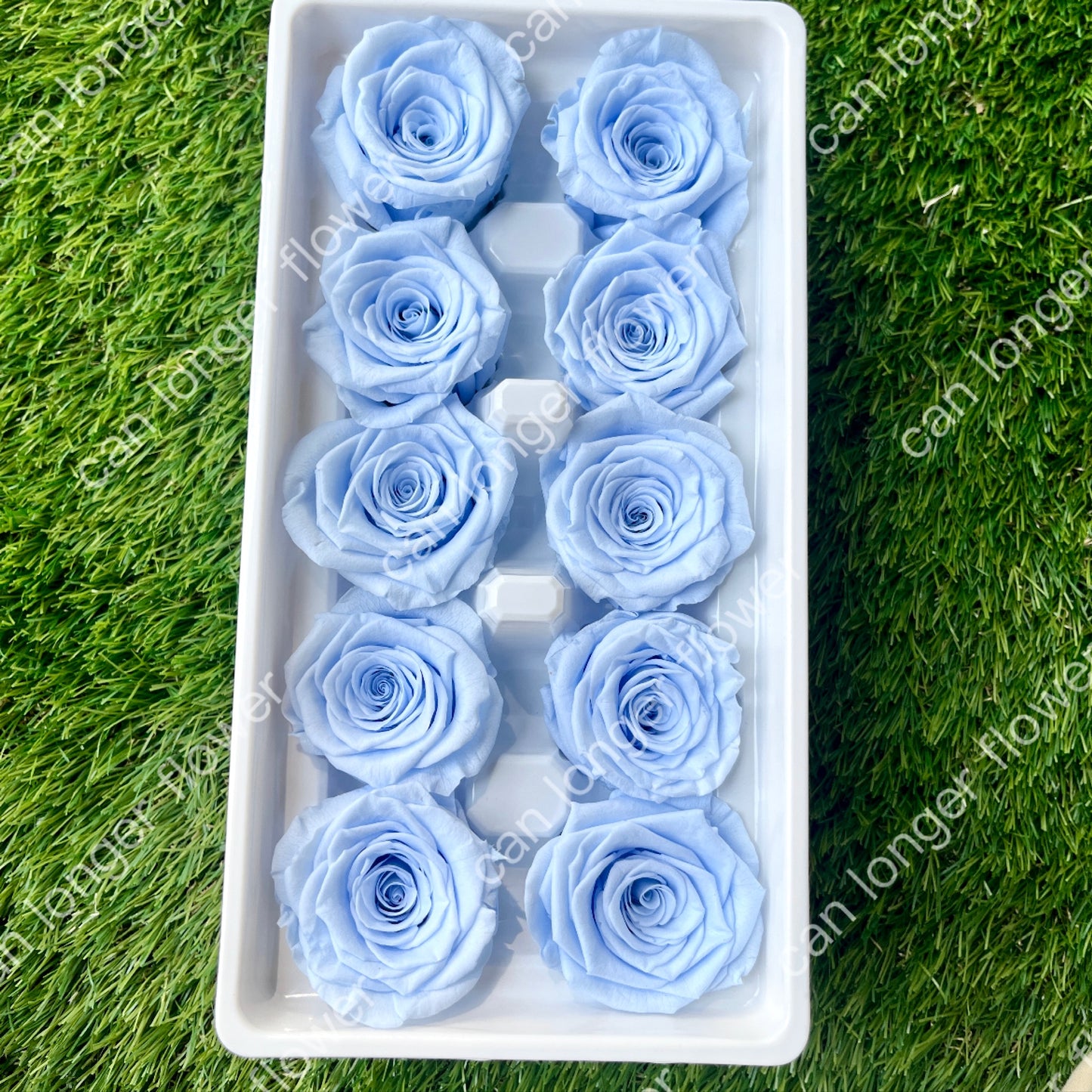 ✿ 台灣現貨 ✿ R10 永生玫瑰 3~4cm玫瑰 A級 10朵裝 永生花 不凋花