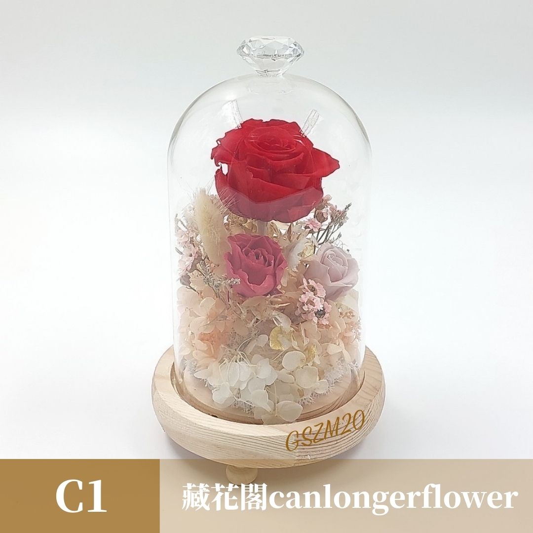 GSZM20 紅色系永生罩盅M