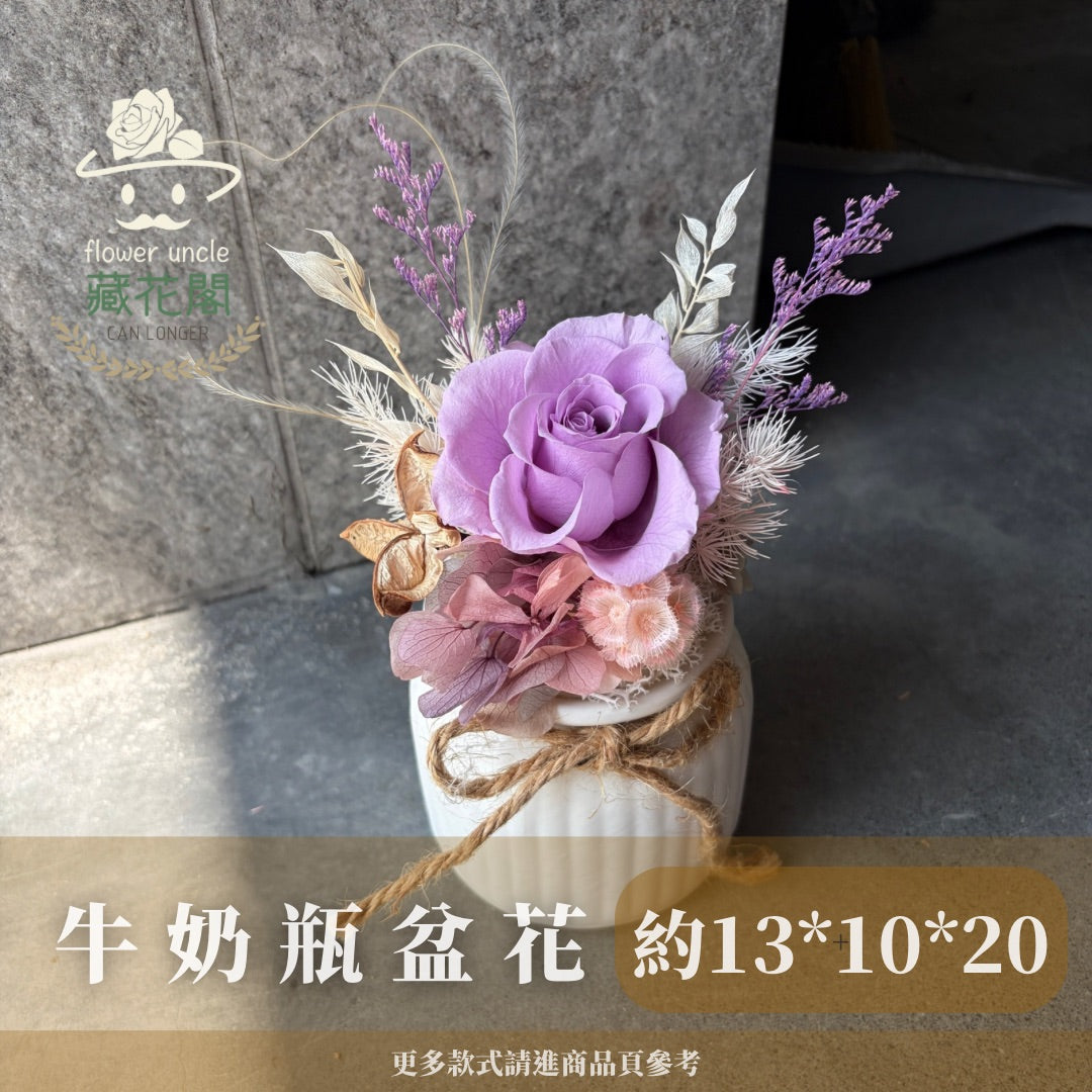 Gift-FP06-70 紫色系牛奶瓶盆花 白色 紫色 牛奶瓶 盆花 開幕 送禮 慶賀 擺飾 裝飾品