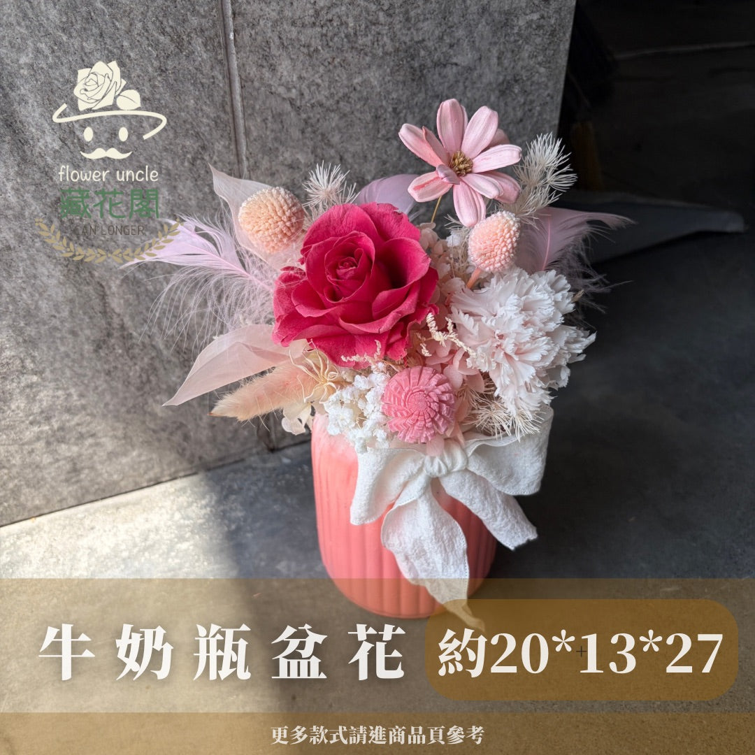 Gift-FP06-10 粉色系牛奶瓶盆花 白色 粉色 牛奶瓶 盆花 開幕 送禮 慶賀 擺飾 裝飾品
