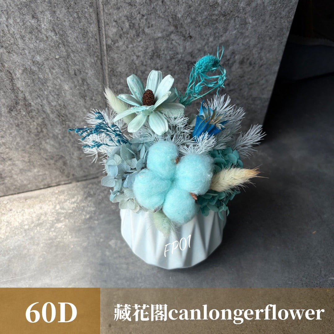 Gift-FP01 乾燥陶瓷小盆花 (含XS梯形透明提袋) 白色 粉色 綠色 藍色 盆花 開幕 送禮 慶賀 擺飾 裝飾品