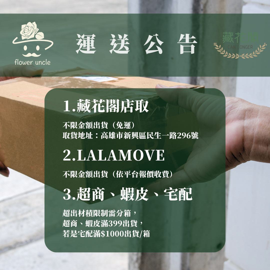 SH00s 五瓣巨頭棉花單支|獨家花材!大花藝作品專屬花材 巨型大雲朵棉花 乾燥花材 乾燥花 批發價棉花支 天然棉花