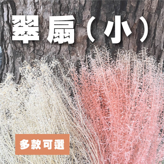 【台灣現貨】PA060s 小翠扇