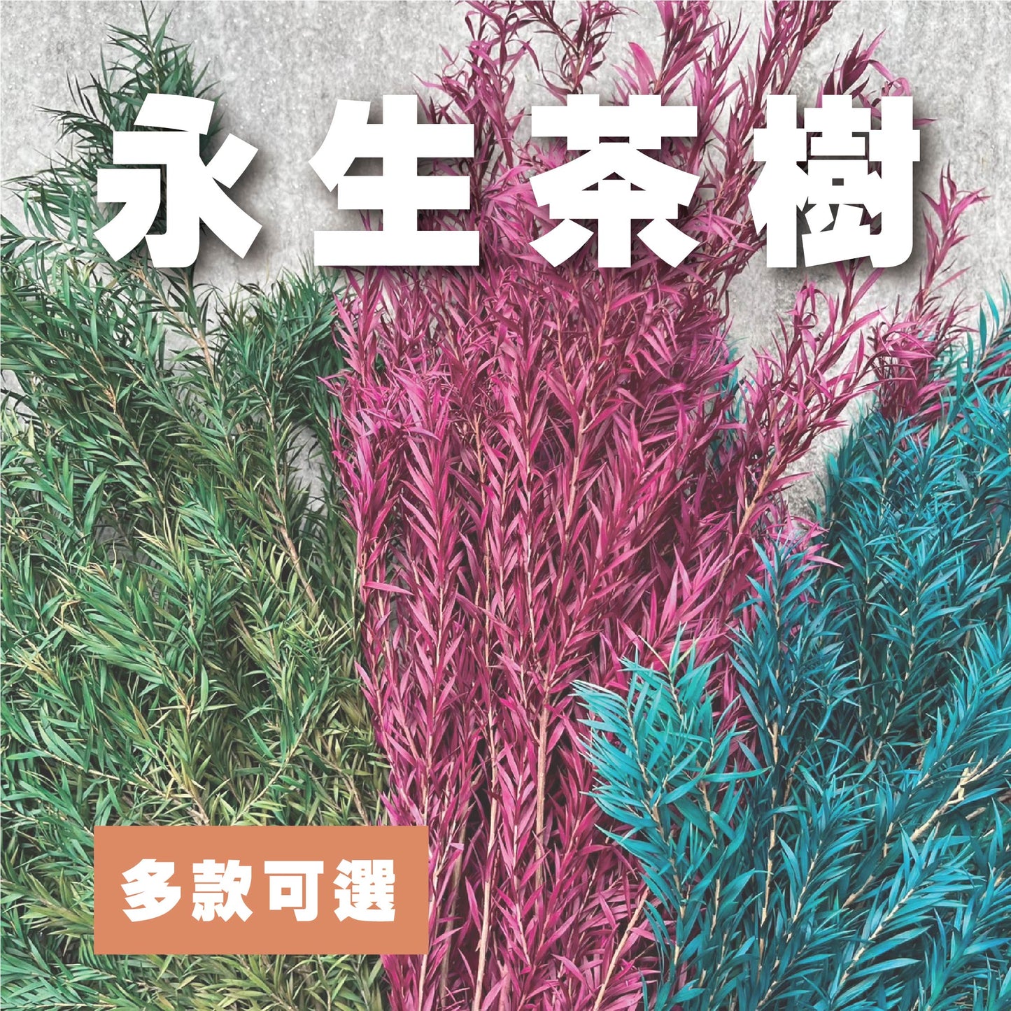 【台灣現貨】PL010S茶樹 茶樹葉 千層金 永生 小份量 節慶裝飾 聖誕花材 DIY 材料包