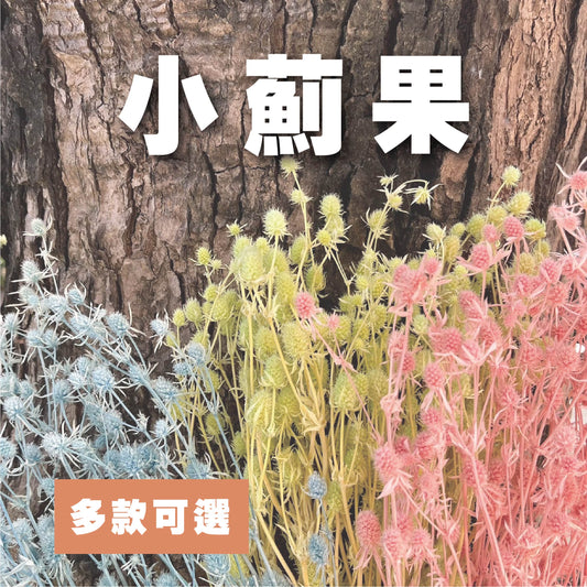 【台灣現貨】PA042-S 小薊果 (10克) 小份量