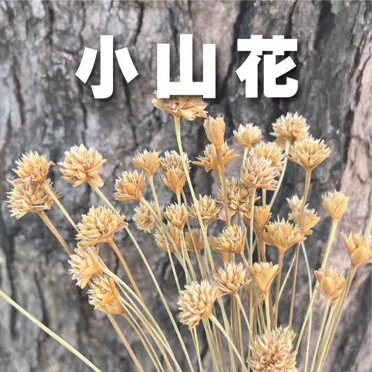 DA055s 小山花 矢車菊  小包 台灣現貨