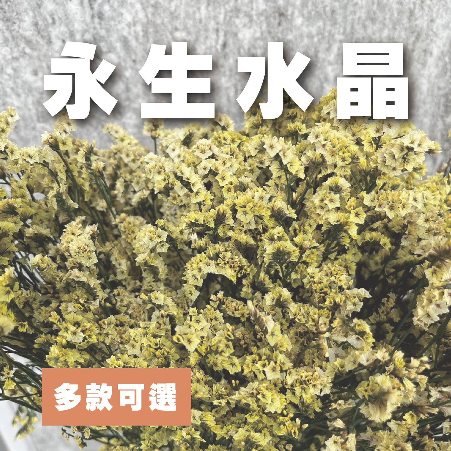✿ 台灣現貨 ✿ PF008-S 水晶花 小份量