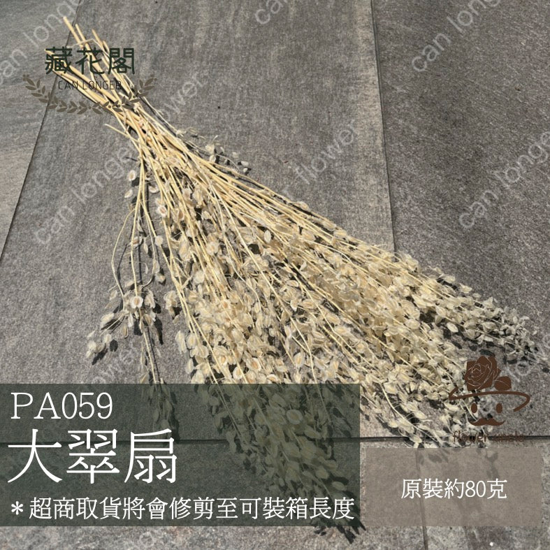 ✿ 台灣現貨 ✿ PA059 大翠扇