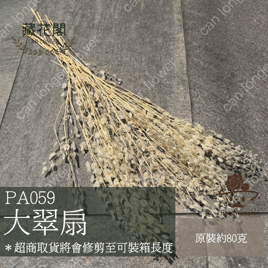 ✿ 台灣現貨 ✿ PA059-s 大翠扇