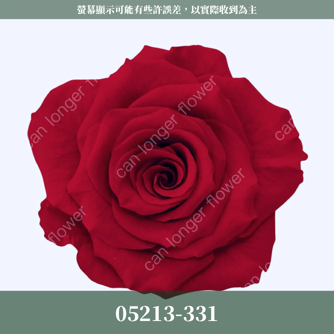 【台灣現貨】花大伯 05213 日本大地農園 滿開玫瑰 6朵裝 原裝 色彩齊全 永生玫瑰 不凋玫瑰