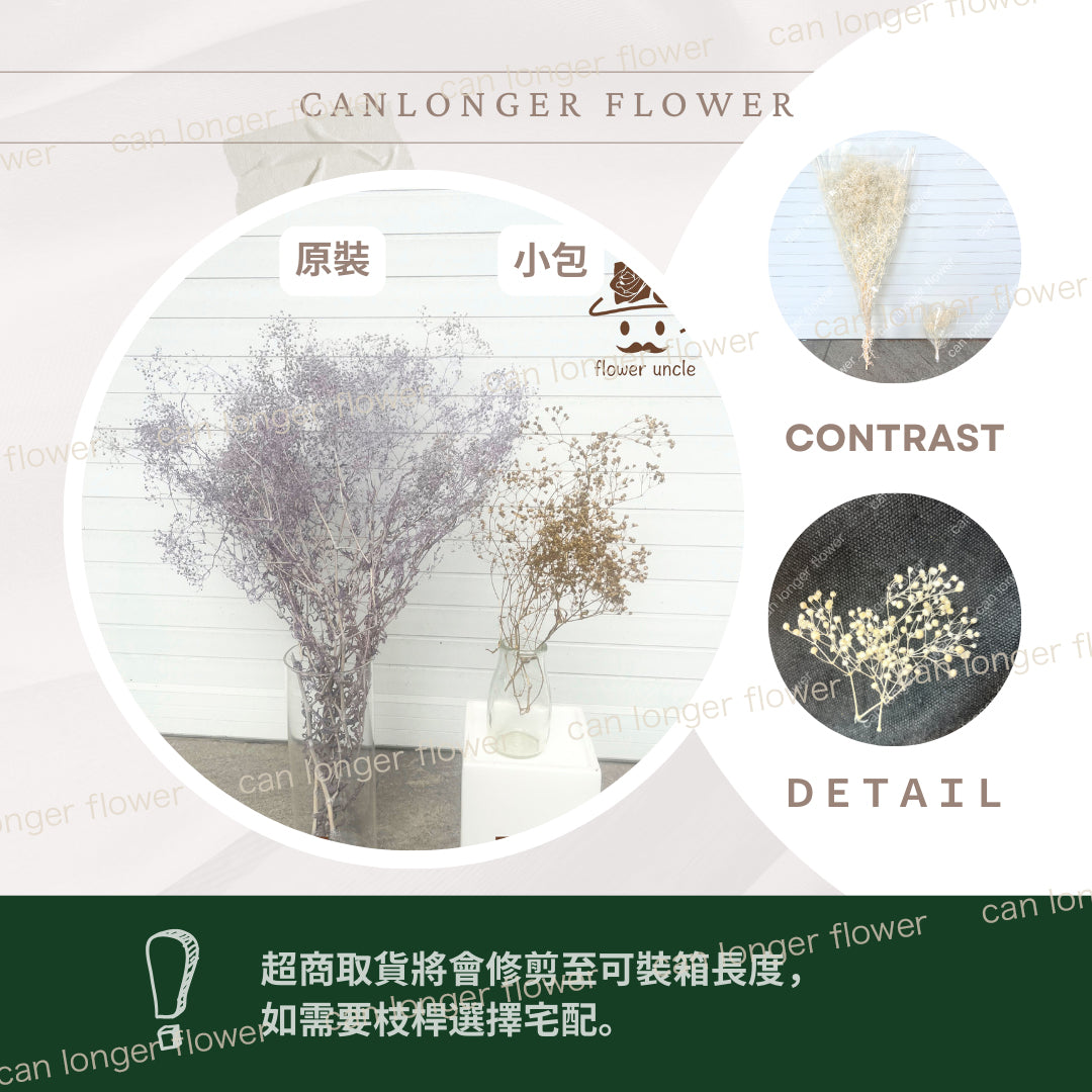 ✿ 台灣現貨 ✿ Pf003-S 迷你滿天星 小份量