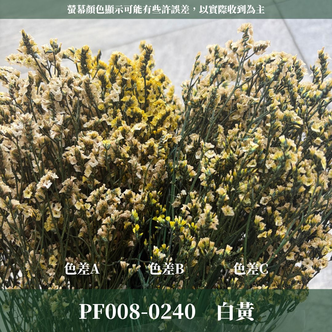PF008 原裝水晶花｜買四送一｜花藝師必買！永生水晶花 不凋水晶花 手作花材 花藝DIY 雪花草 花材 浮游花 乾燥花