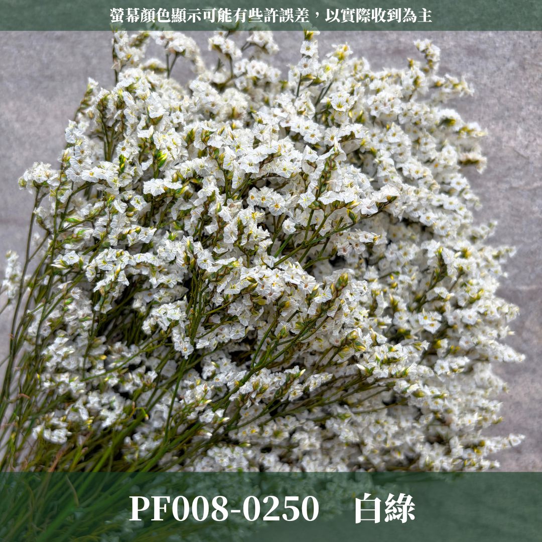 PF008 原裝水晶花｜買四送一｜花藝師必買！永生水晶花 不凋水晶花 手作花材 花藝DIY 雪花草 花材 浮游花 乾燥花