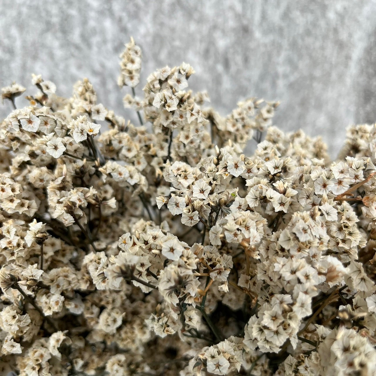 ✿ 台灣現貨 ✿ PF008-S 水晶花 小份量