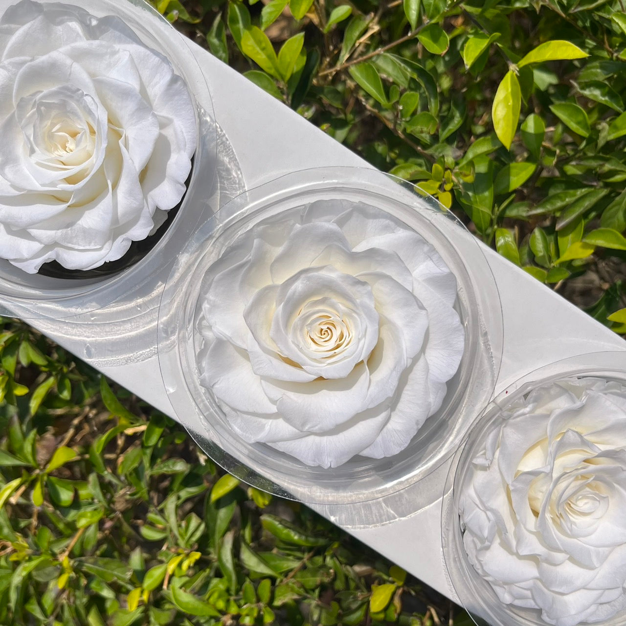 ✿ 台灣現貨 ✿ R03 永生拼接玫瑰7~8cm玫瑰 Ａ級 3朵裝 不凋花 永生花