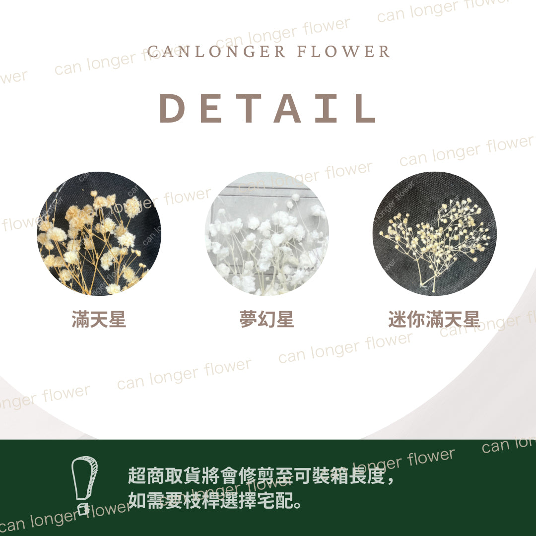 ✿ 台灣現貨 ✿ Pf003-S 迷你滿天星 小份量