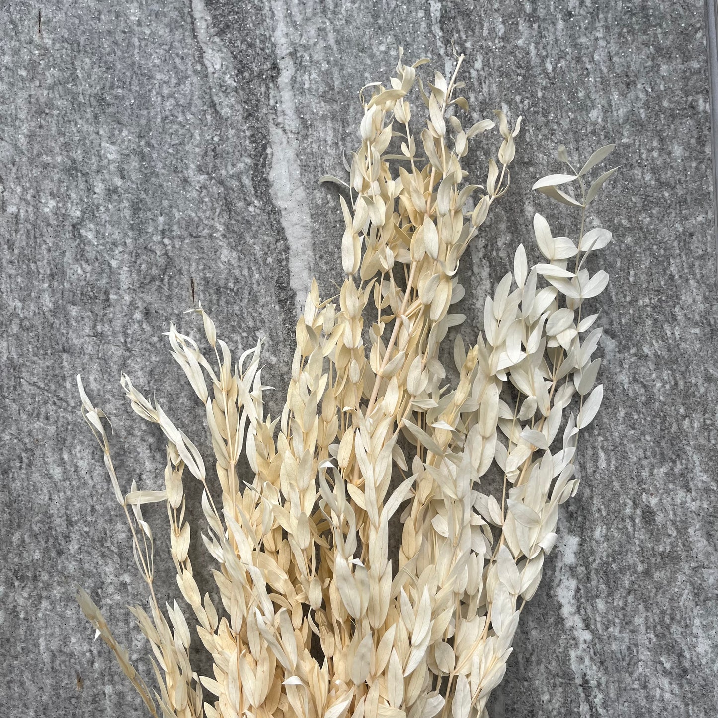 ✿ 台灣現貨 ✿ PL004 DL004 細葉尤加利