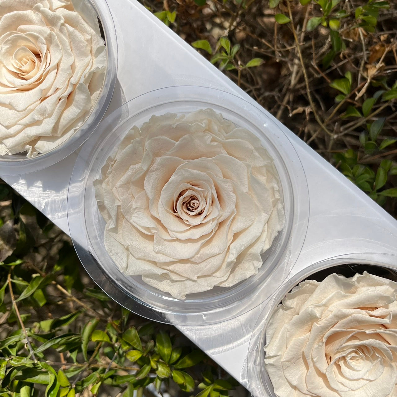 ✿ 台灣現貨 ✿ R03 永生拼接玫瑰7~8cm玫瑰 Ａ級 3朵裝 不凋花 永生花