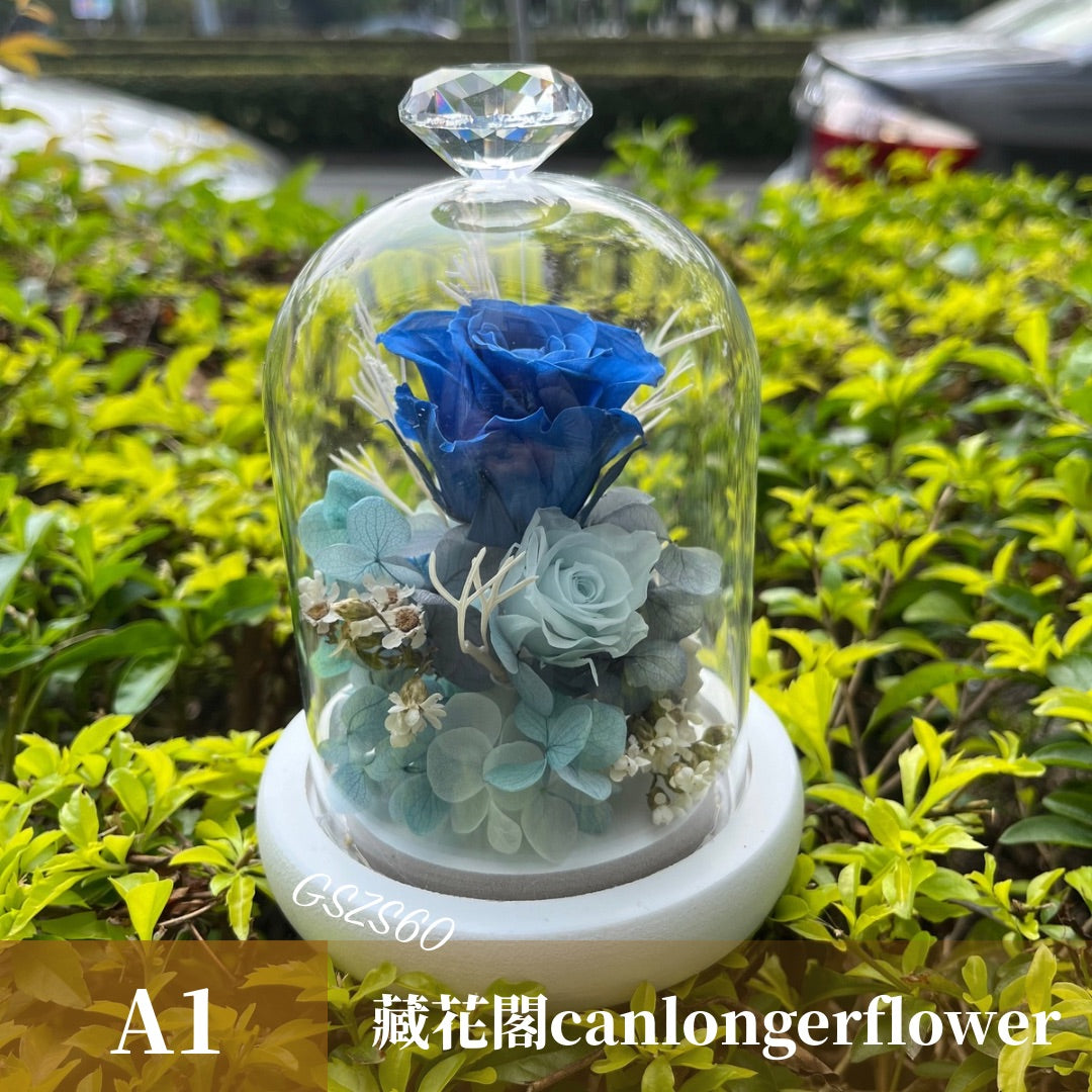 GSZS60 藍色系永生罩盅S