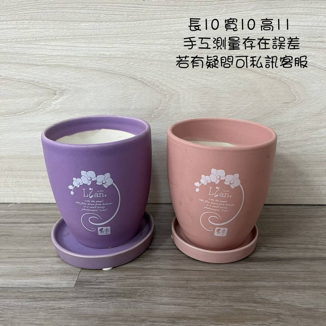 cp瓷器