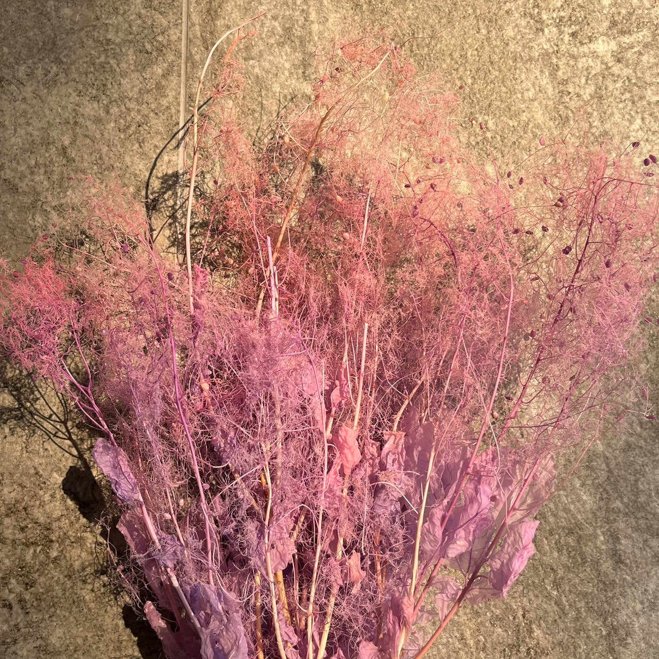 【台灣現貨】PA058S黃櫨 煙霧樹 夢幻草 黃櫨花 煙樹 霧花 霧中情人 永生 小份 拍攝道具 居家裝飾 室內擺設