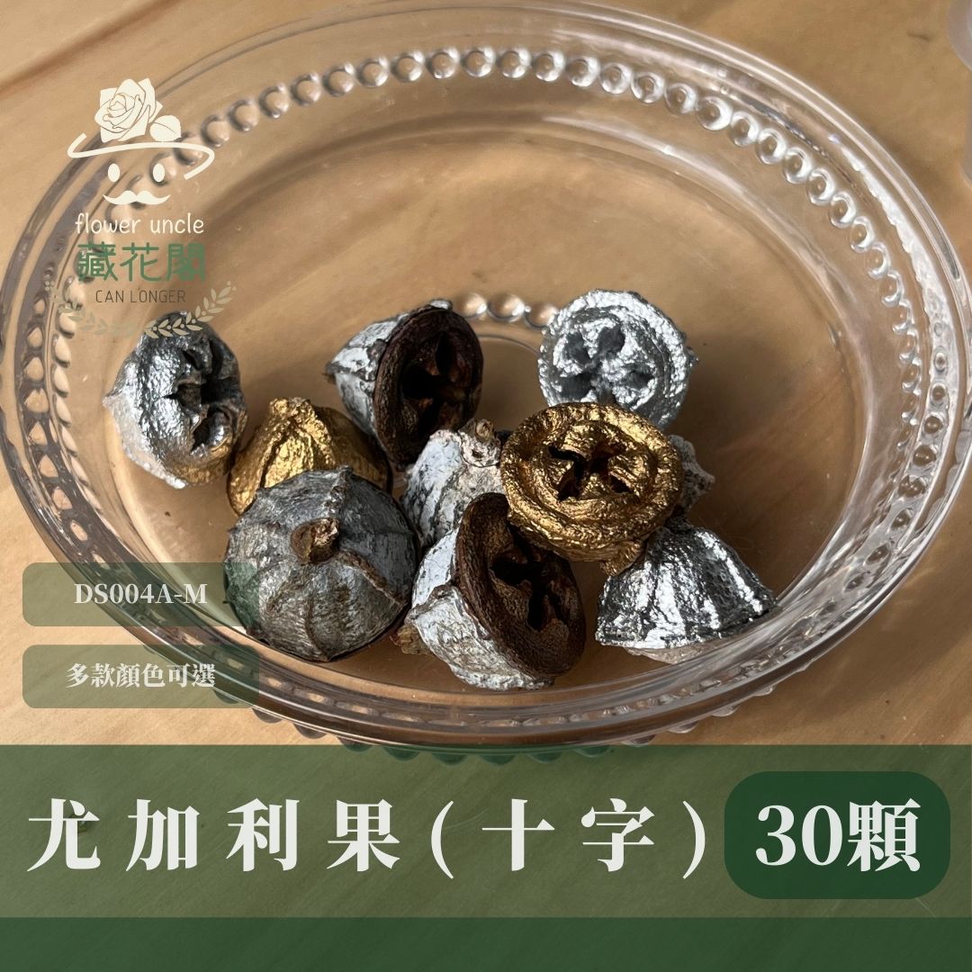 DS004A-M尤加利果(十字)30顆