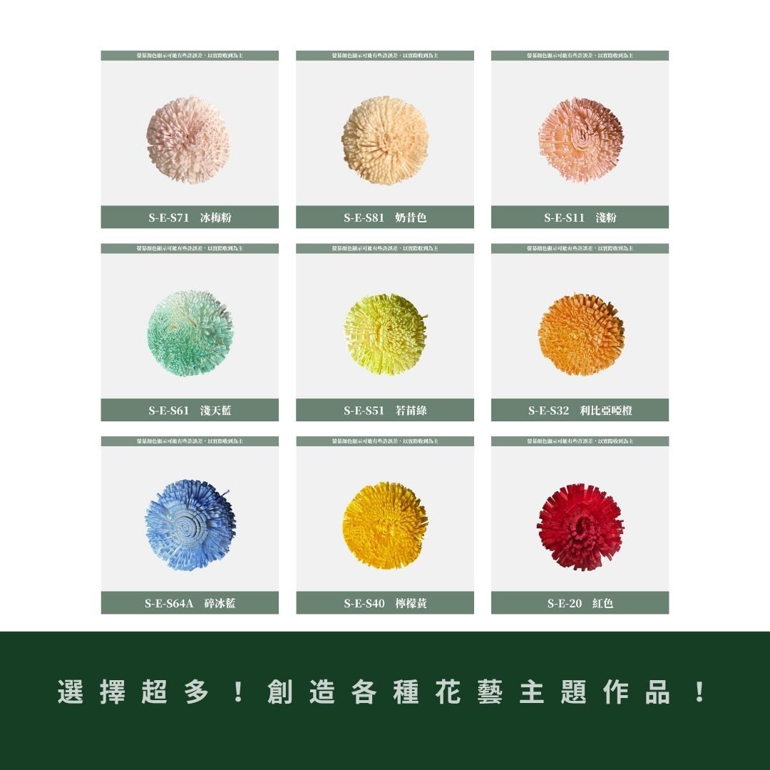 S-E 5CM乒乓菊索拉花｜五入原裝｜索拉花乾燥花 通草花 擴香花 微笑乒乓菊DIY 笑哈哈花束花材 乒乓花 乾燥花