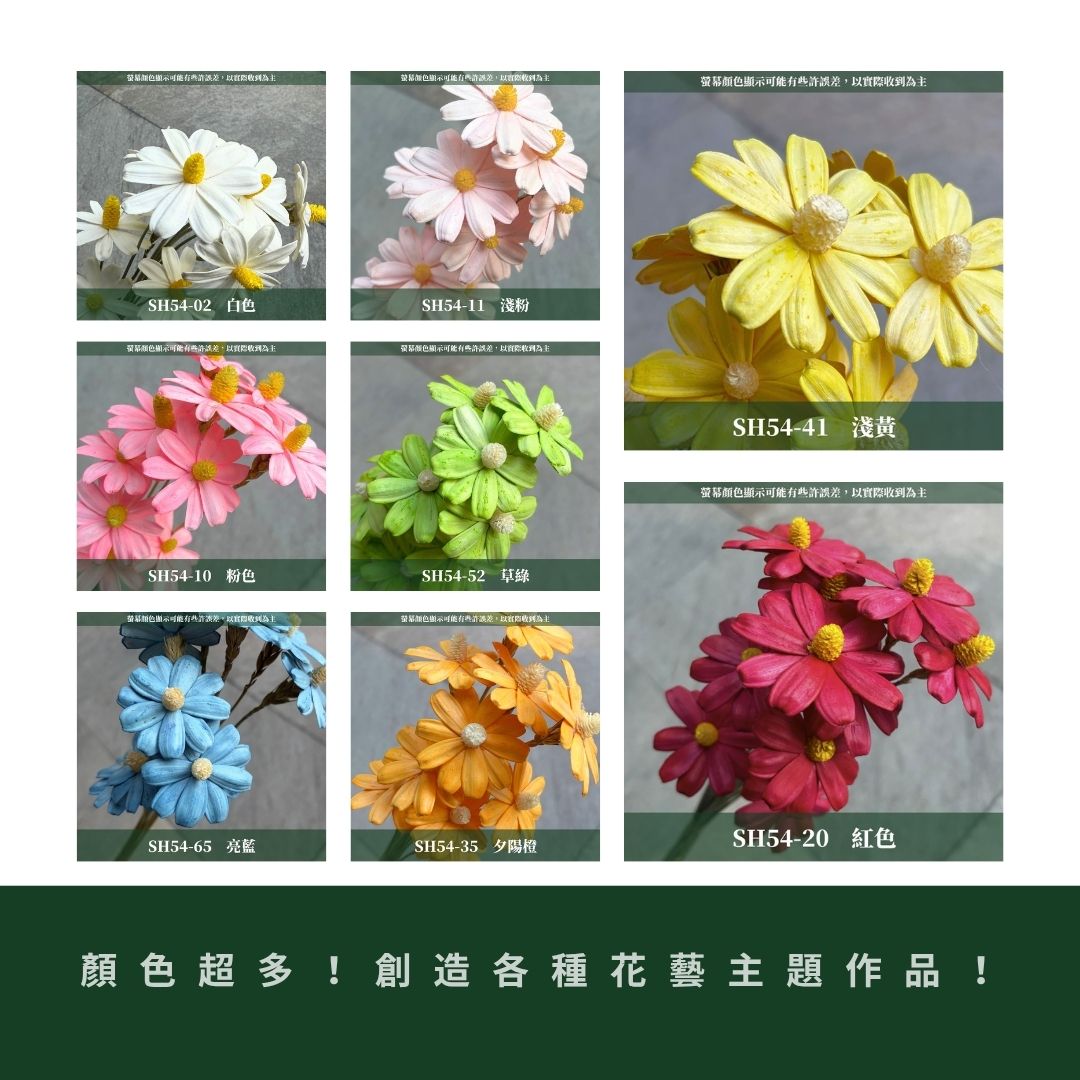 SH54 原裝木片瑪格麗特｜乾燥花批發 瓜子花 小雛菊 不凋花 木春菊 花藝設計 拍照道具 手工花 DIY 花藝 插花