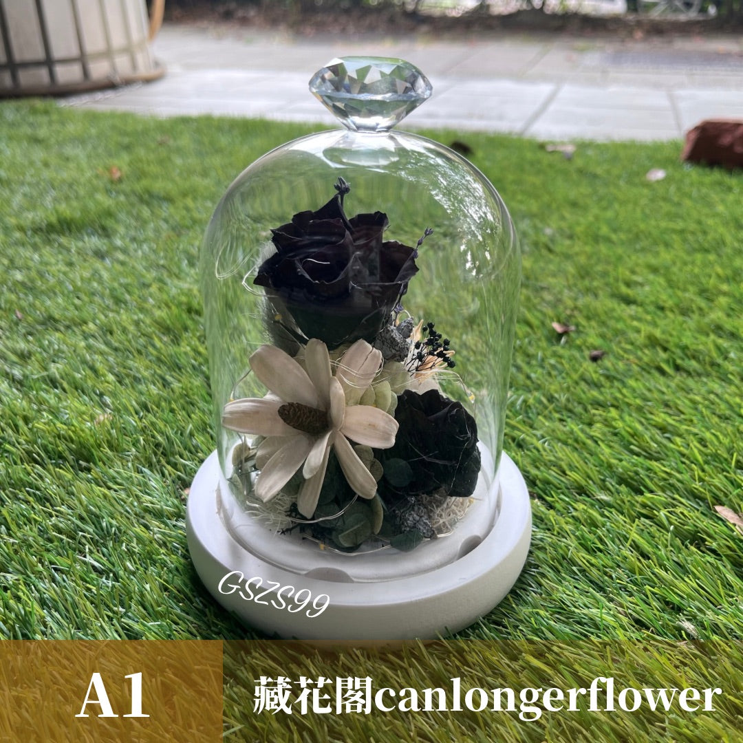 GSZS99 黑色系永生罩盅S