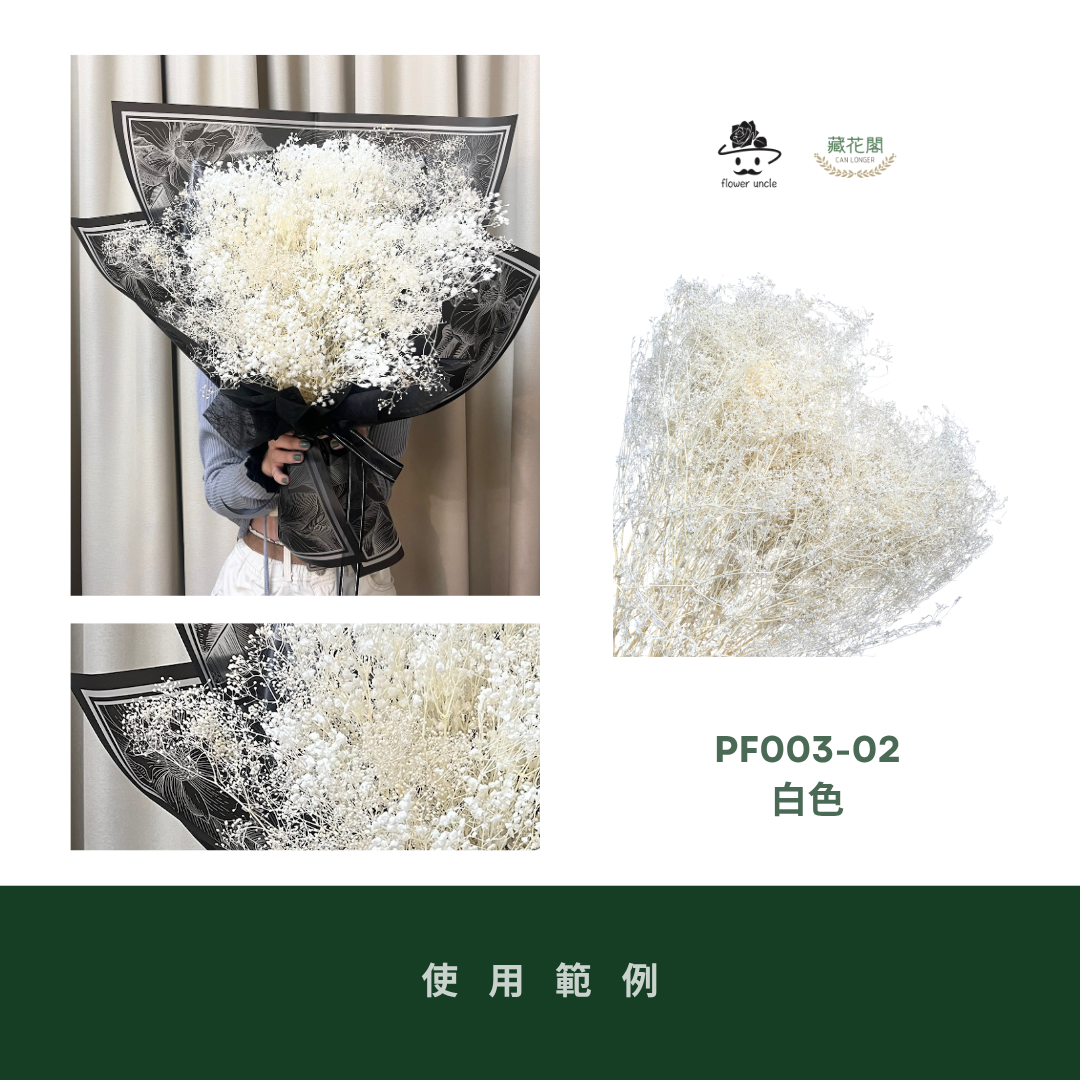 PF003 原裝迷你滿天星｜小滿天星 百萬星 花藝 永生花 乾燥花 霞草 花束材料包 花盅 手作 捧花材料 類大地農園
