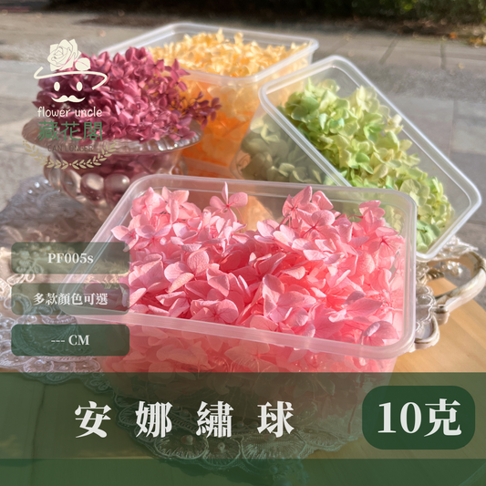 PF005-S 安娜繡球(約10克）盒裝 繡球 紫陽花 台灣現貨
