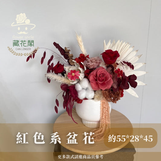 Gift-F056 紅色系永生盆花 紅色系 盆花 開幕 送禮 慶賀