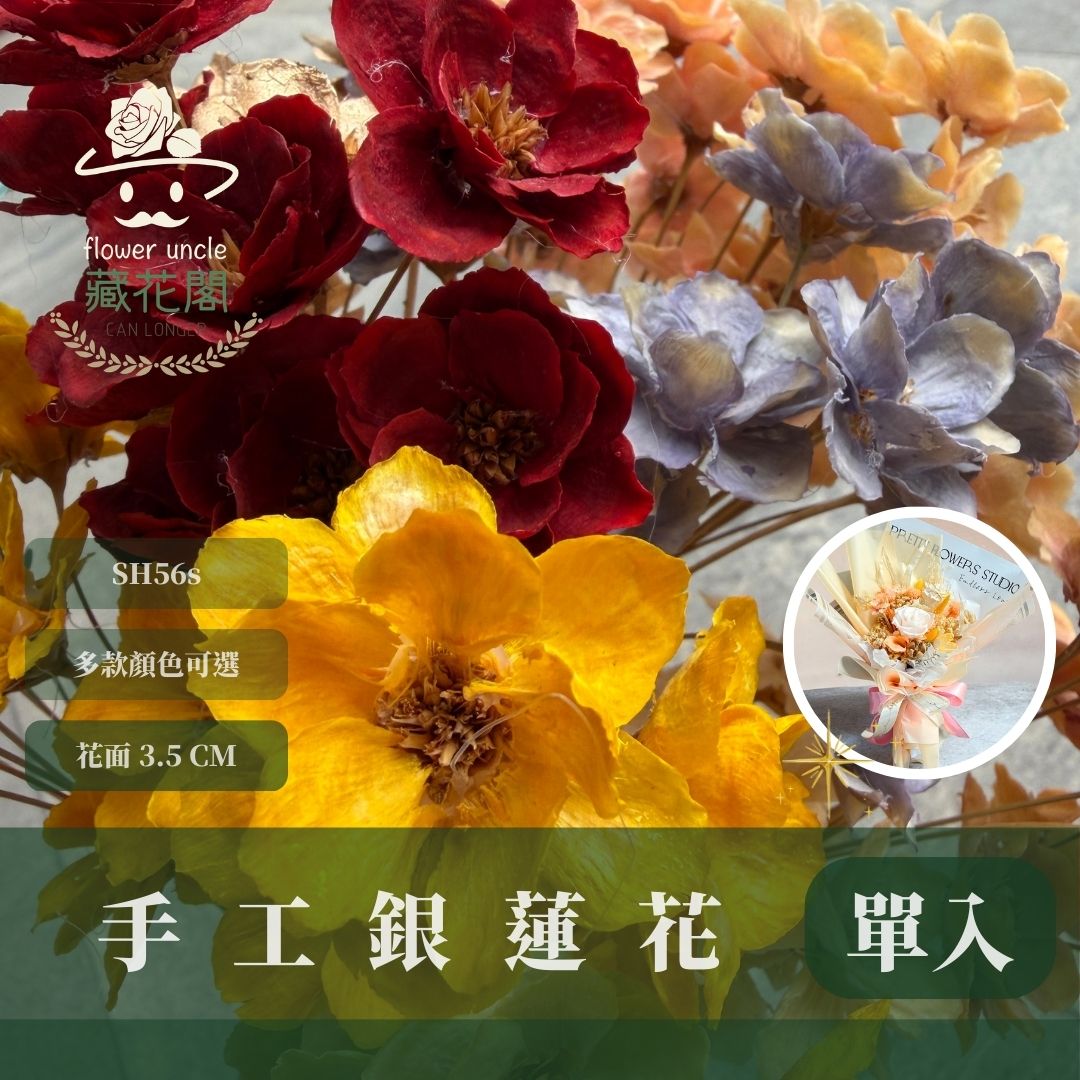 SH56S 手工銀連花 單支｜9種顏色！A級乾燥花材料包 手工花主花 永生花 不凋花瓜子花花材 花束花材 花藝師必買