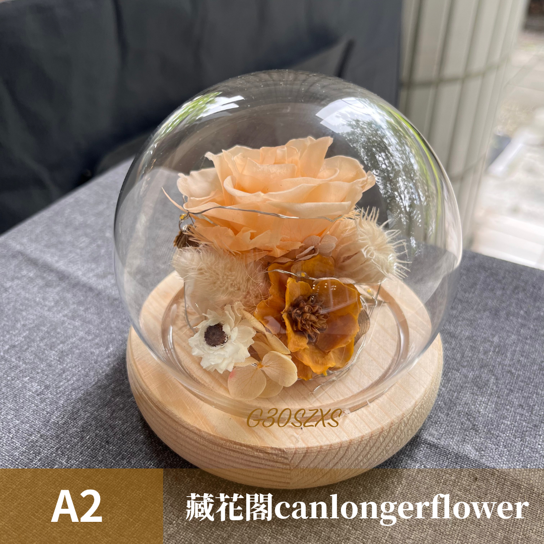 GSZXS30 橘色系永生玫瑰罩盅XS(帶燈)