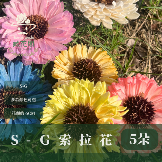 ✿ 台灣現貨 ✿ S-G 索拉花 6CM 通草花 擴香花