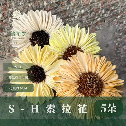 ✿ 台灣現貨 ✿ S-H 索拉花 6CM 通草花 擴香花