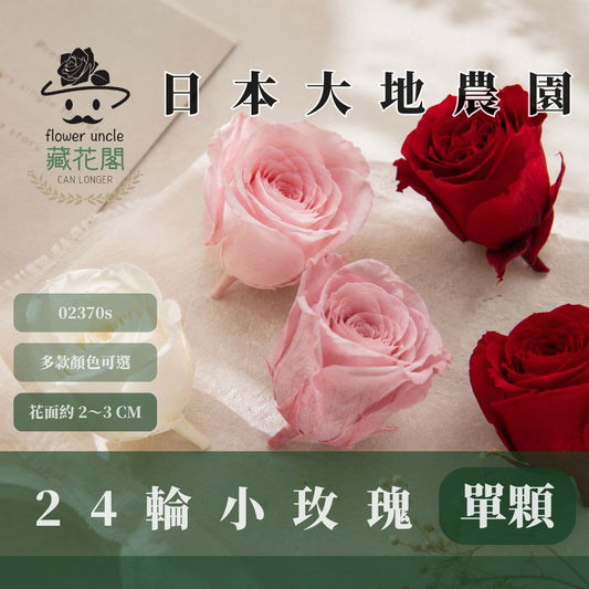 02370 日本迷你玫瑰