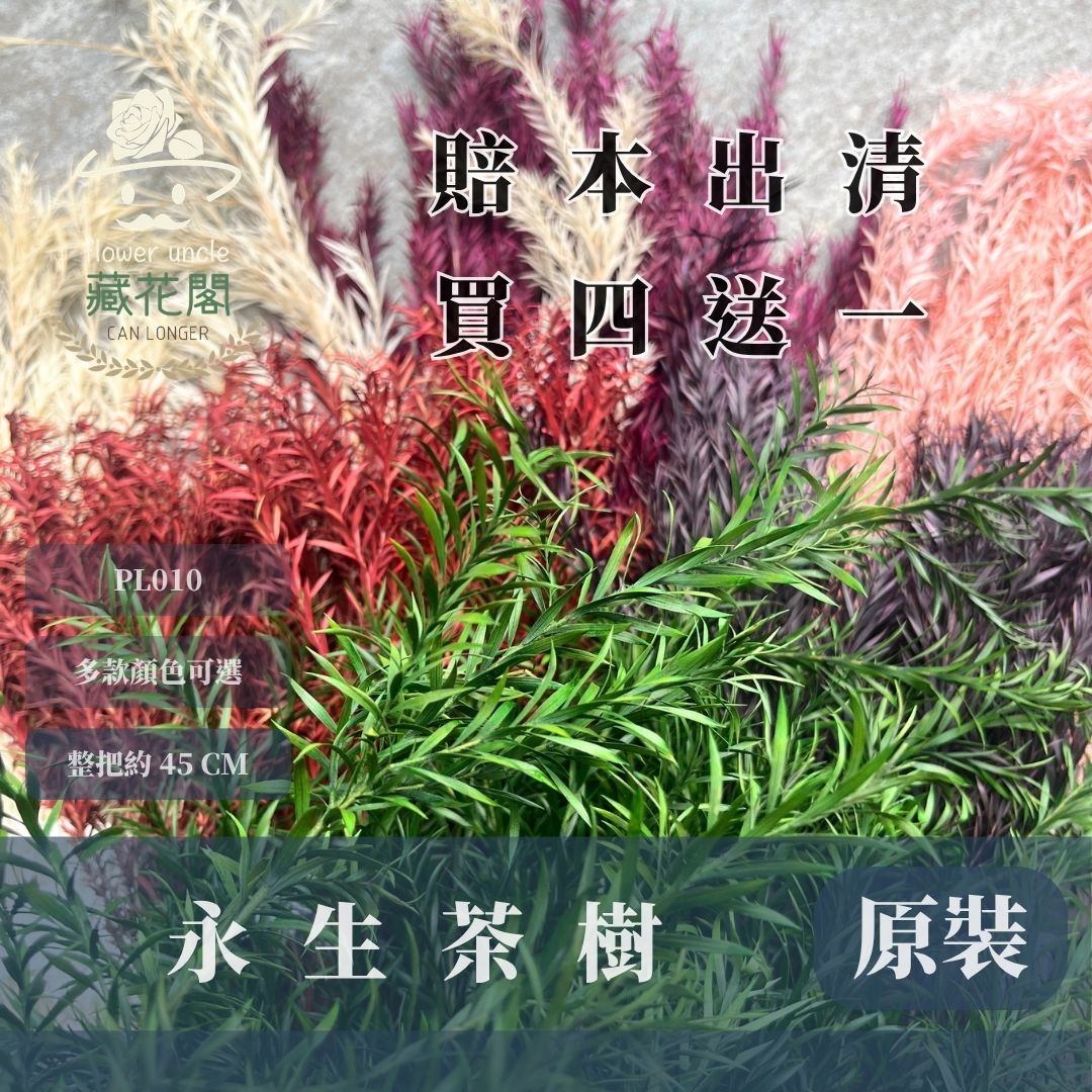 賠本出清。買四送一｜PL010 原裝永生茶樹｜永生茶樹葉 花藝用葉材 不凋茶樹 乾燥花 永生花 料理擺盤裝飾 千層金