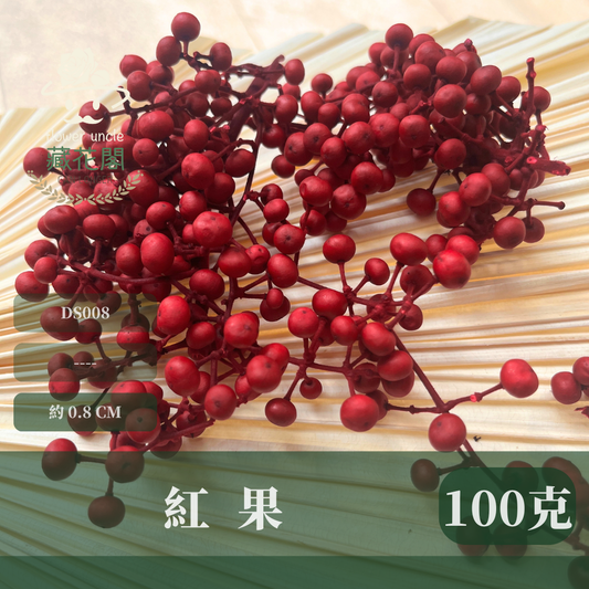 DS008 原裝紅果 約100克 聖誕節花材 台灣現貨