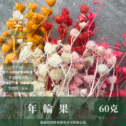 ✿ 台灣現貨 ✿  PA062 年輪果