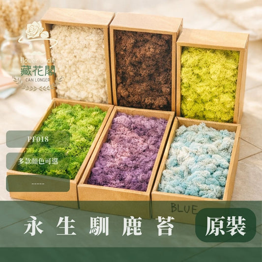 PF018 原裝永生馴鹿苔｜特級永生水草 微景觀水苔 苔蘚造景 乾燥花 不凋花 永生花藝材料 撲底用草 假草皮 moss